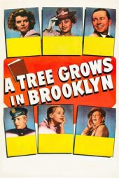 A Tree Grows in Brooklyn (1945)