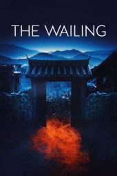 The Wailing (Gok-seong) (2016)