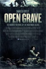 Open Grave (2013)