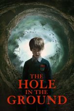 The Hole in the Ground (2019)