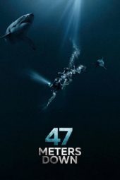 47 Metres Down (47 Meters Down) (2017)