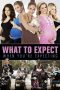 What to Expect When You're Expecting (2012)