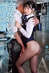 MIDV-460 Rookie flight attendant was violated by old-fashioned men she hates on a temporary assignment – Itsuwa